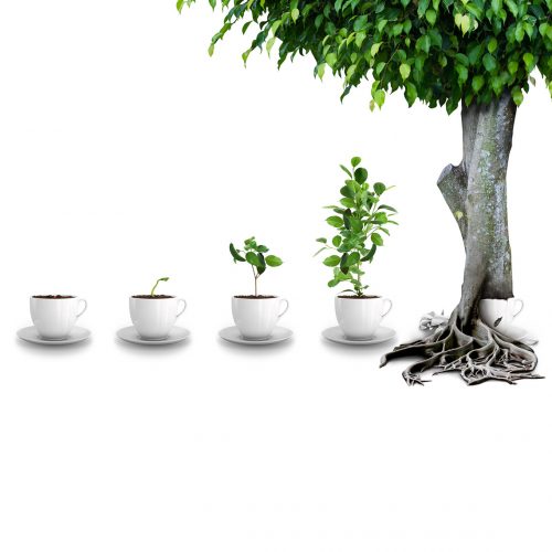 Afroteq FM Solutions